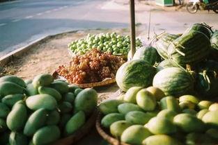 中国吃瓜群众论坛,揭秘网络热议背后的真相与趣味