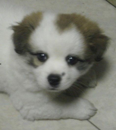 打完狂犬疫苗吃瓜,健康生活新体验