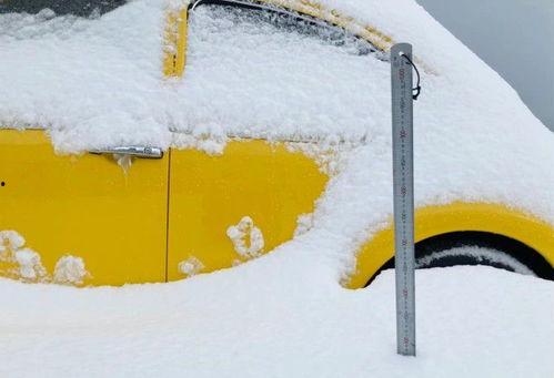 大雪吃瓜,冬日里的温馨食趣