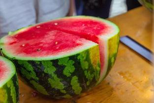 塔大五食堂吃瓜,瓜果飘香，美食盛宴一网打尽