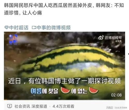 吃瓜天津博主,跟随吃瓜博主探寻津城美食与文化