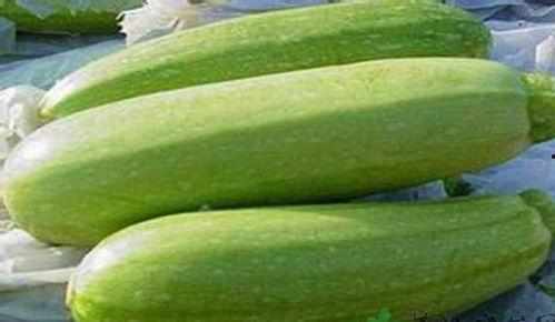 cra最近吃瓜,揭秘娱乐圈最新“吃瓜”事件