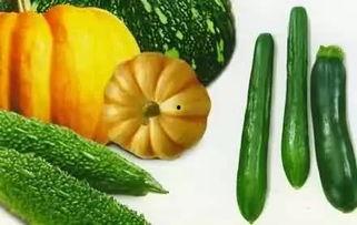 juice吃瓜,揭秘娱乐圈幕后故事