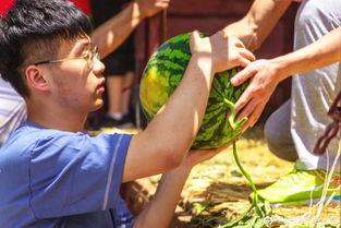 张娟娟吃瓜,揭秘娱乐圈幕后故事