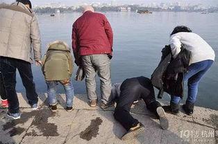 西湖断桥吃瓜事件,一场网络热议背后的真相与反思