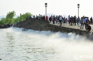 西湖断桥吃瓜事件,一场网络热议背后的真相与反思