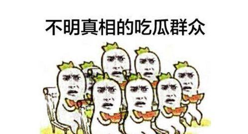 混进吃瓜群众,揭秘娱乐圈幕后风云