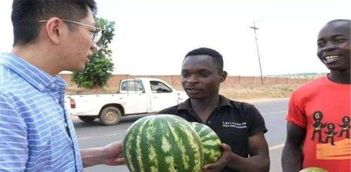 美国吃瓜网友,揭秘那些令人捧腹的“吃瓜”瞬间