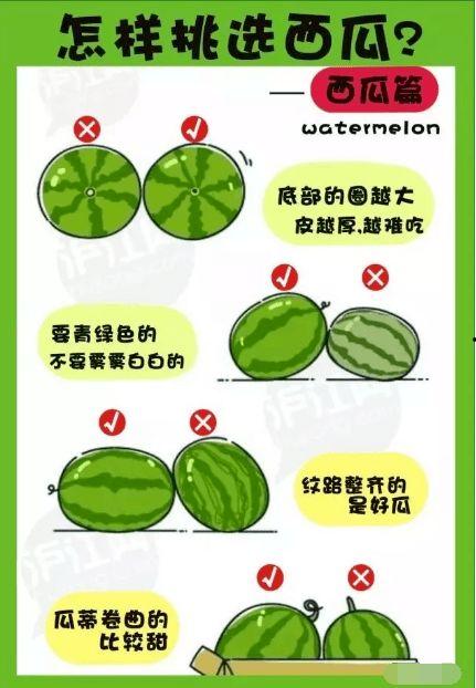 如皋吃瓜,探寻如皋吃瓜的乐趣与风情