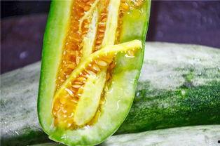 吃瓜的萝卜,揭秘瓜农的甜蜜生活