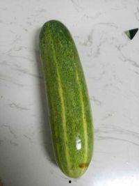 吃瓜的萝卜,揭秘瓜农的甜蜜生活