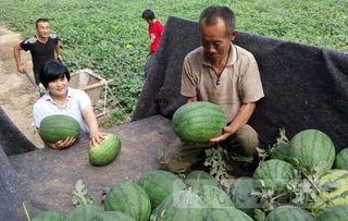 梁山拳铺吃瓜,吃瓜群众眼中的江湖风云