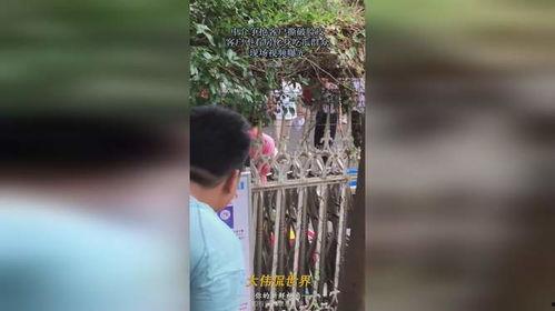 吃瓜视频视频现场,吃瓜视频幕后揭秘，带你领略真实娱乐圈