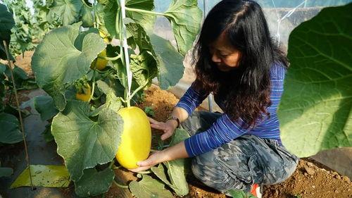 带你吃瓜山城,尽享“吃瓜”之旅