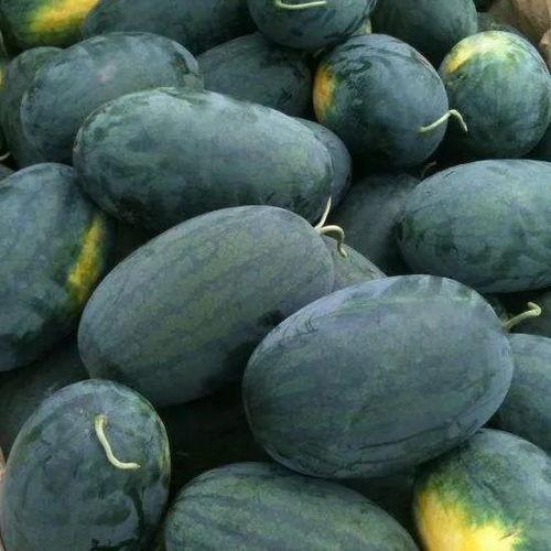 大涵宝吃瓜,揭秘娱乐圈幕后故事