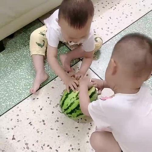 双胞胎兄弟吃瓜比赛,谁将笑到最后？