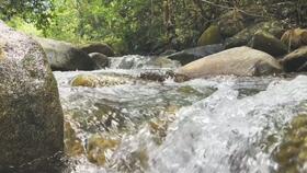 野生小溪吃瓜,野生小溪的夏日瓜果盛宴