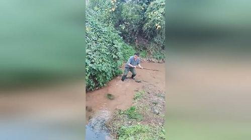 野生小溪吃瓜,野生小溪的夏日瓜果盛宴