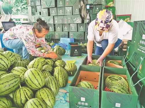 永康吃瓜小分队,揭秘当地美食圈的热辣故事