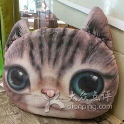 吃瓜小熊胖猫,揭秘萌宠界的美食探险记