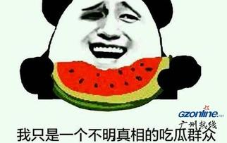 小说简介式吃瓜,一场奇幻爱情的奇幻之旅