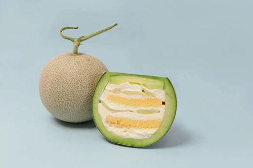 小说简介式吃瓜,一场奇幻爱情的奇幻之旅