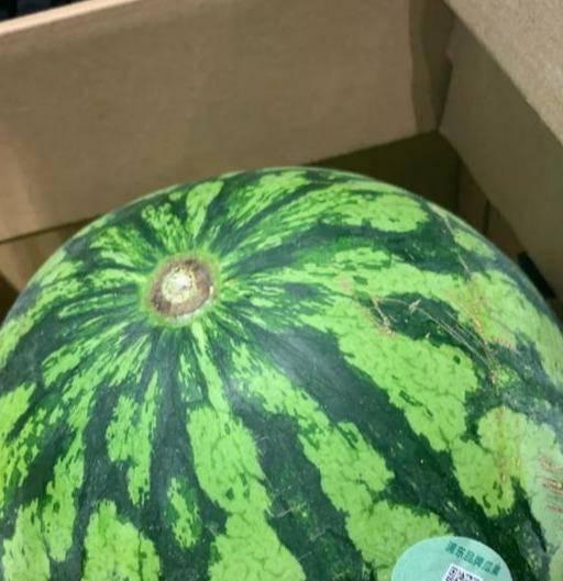 吃瓜平台名字,吃瓜平台背后的故事与魅力