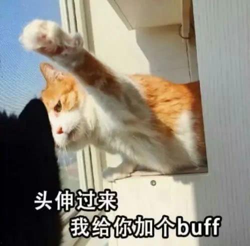 buff吃瓜,明星们的“神秘buff”吃瓜大揭秘