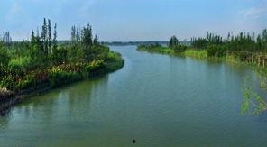 潘安湖吃瓜节,欢乐盛宴共度夏日吃瓜节”