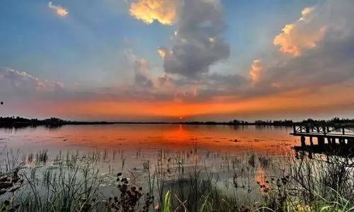 潘安湖吃瓜节,欢乐盛宴共度夏日吃瓜节”