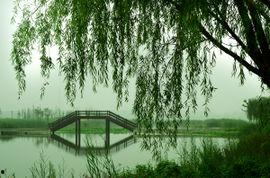 潘安湖吃瓜节,欢乐盛宴共度夏日吃瓜节”