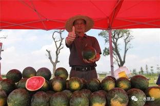 吃瓜的瓜仔,揭秘娱乐圈那些事儿