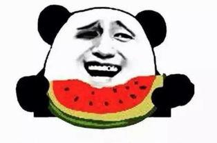 吃瓜人狗大战,一场跨界冲突的趣味解读