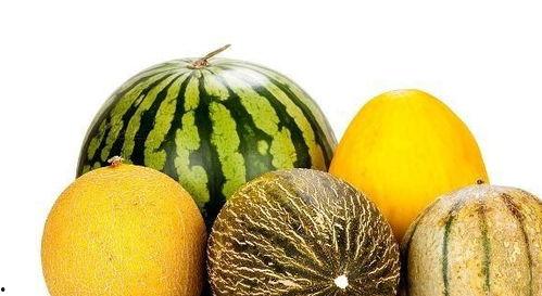 天天吃瓜好处,揭秘天天吃瓜的五大益处