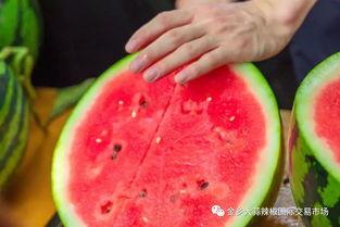 大学吃瓜现象,揭秘大学里的八卦世界