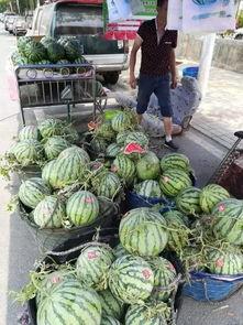 濮阳最新吃瓜事件,揭秘网络热议背后的真相