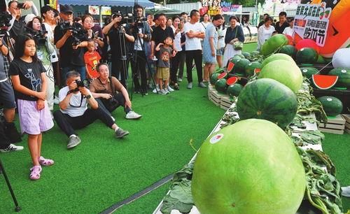 沈阳吃瓜节,夏日狂欢，瓜果飘香，尽享欢乐时光