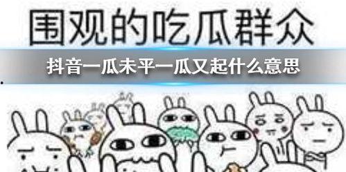 抖音游客吃瓜,游客现场吃瓜，揭秘网红景点幕后趣闻