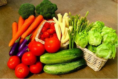 幼儿吃瓜视频片头,萌娃欢乐时光