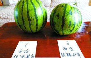 西安飞盘圈吃瓜