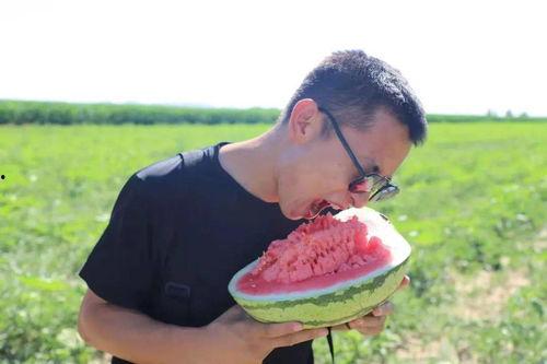 召唤吃瓜群众,揭秘娱乐圈幕后风云