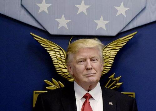 吃瓜战胜华尔街成功秘诀,揭秘成功秘诀