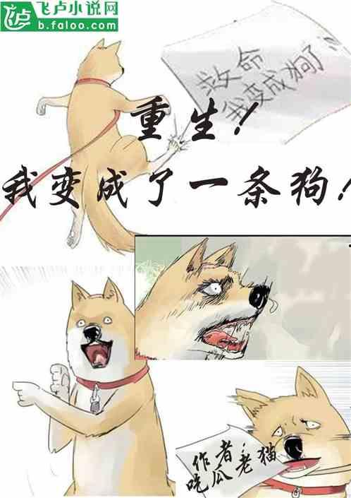 听小说吃瓜,跟随主角一起品味人生百态