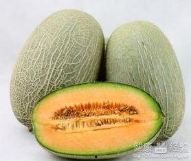 牛马吃哈密瓜,共享甜蜜的和谐画卷