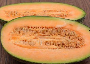 牛马吃哈密瓜,共享甜蜜的和谐画卷