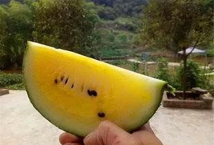 安庆红心瓜只吃瓜心,尽享瓜心美味，传承地方特色