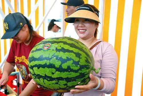 欢乐汇吃瓜,揭秘娱乐圈幕后故事