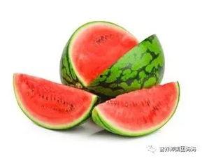 树底吃瓜的,夏日悠闲时光的惬意体验