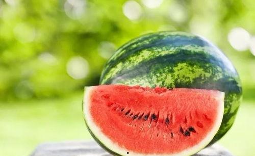 阿格吃瓜记,揭秘娱乐圈幕后真相