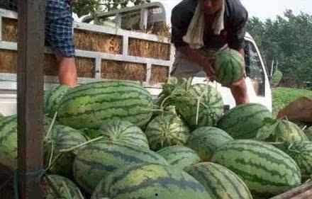 吃瓜 山西,吃瓜群众眼中的地方风情